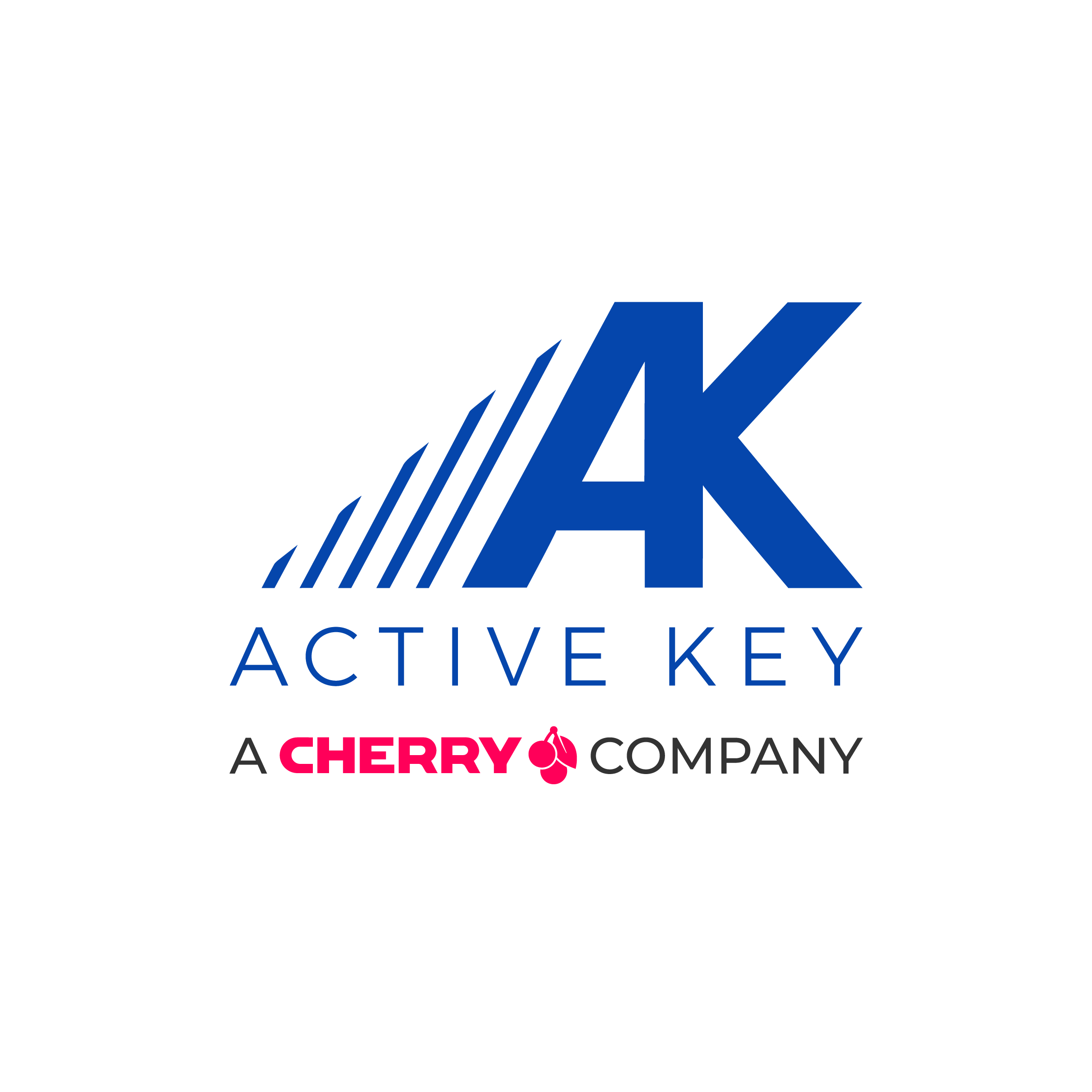 Active Key GmbH & Co. KG